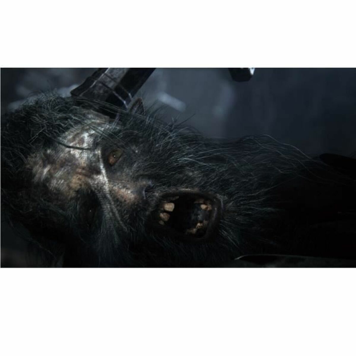 Videogioco PlayStation 4 Sony Bloodborne PlayStation Hits